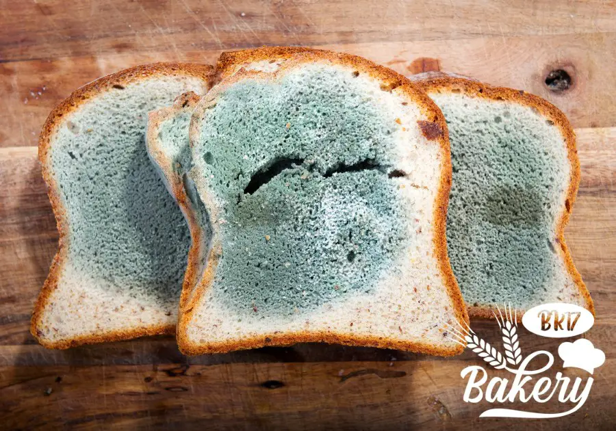 Mold bread