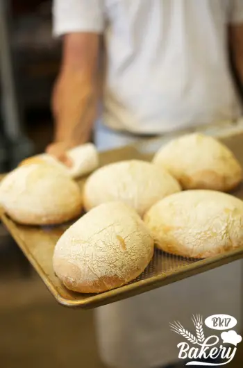 Bread Baking Temperature