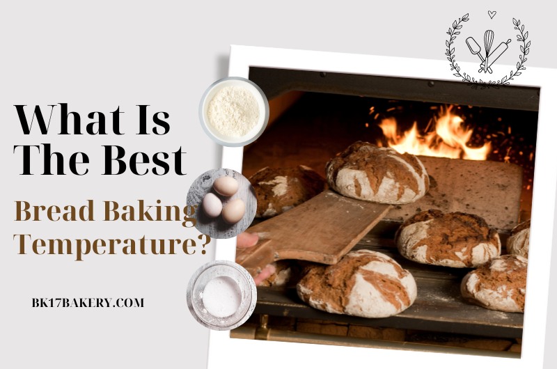 The Best Bread and Oven Thermometer You Should Use and Why – The Bread  Guide: The ultimate source for home bread baking