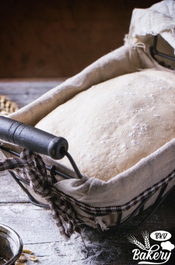 Dough Rise Dough Rise