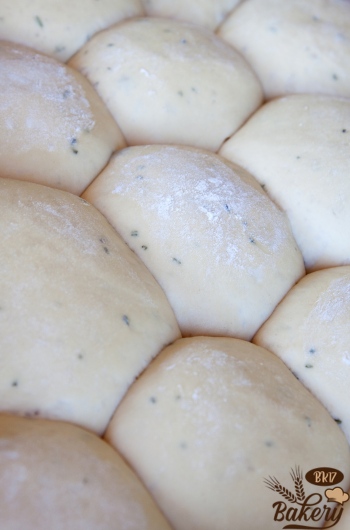 Dough rising Dough rising