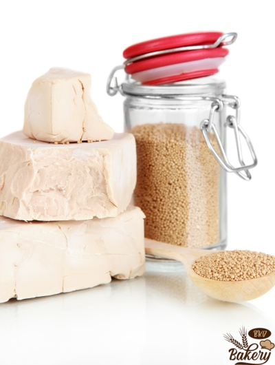 Store Yeast Store Yeast