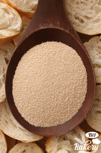 Yeast Yeast