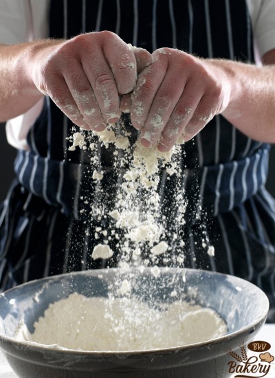 Gluten Formation Gluten Formation