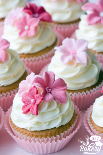 Regular cupcake Regular cupcake